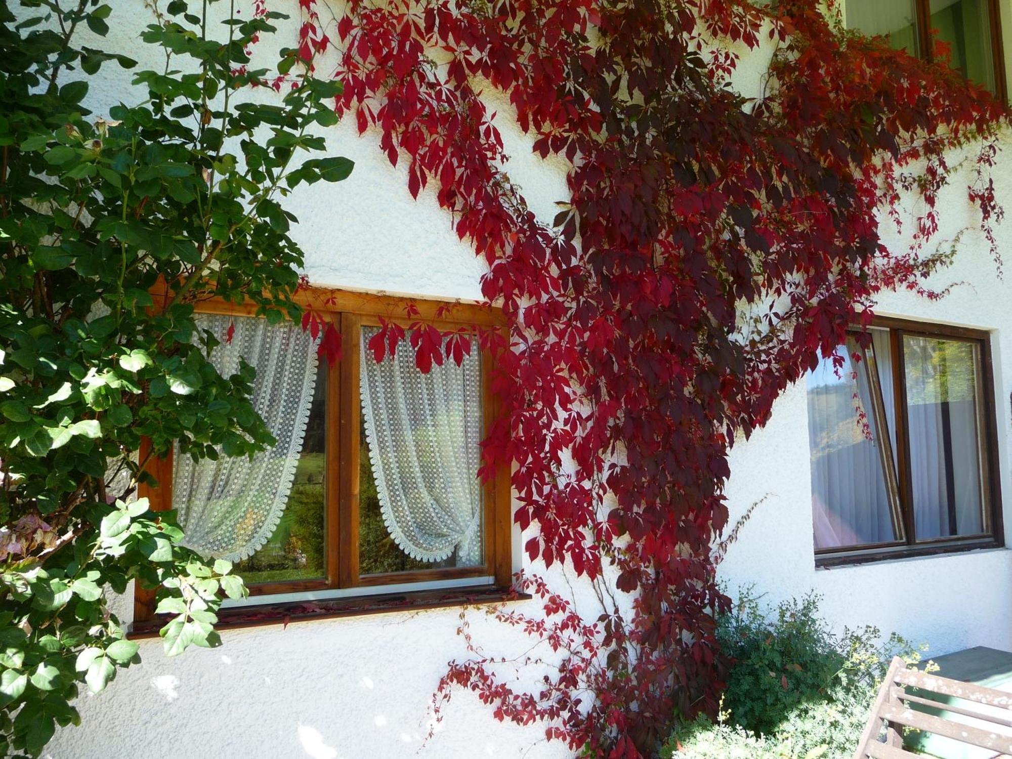 Hotel Haus Garni Luggi Leitner à Mittelberg Extérieur photo